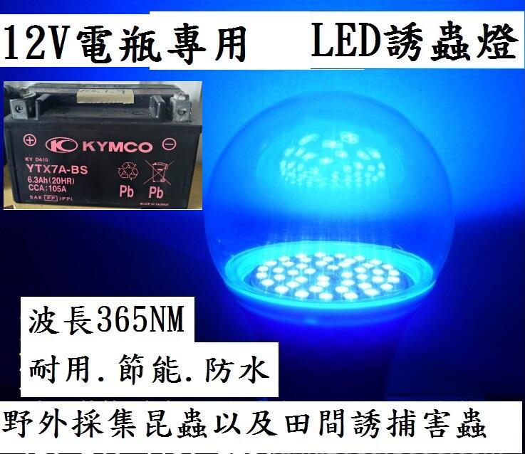 12V直流電7-12W led紫外線誘蟲燈365nm農用養殖魚塘黑光燈泡果園專用防水