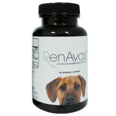 RenAvast 胺腎 狗用營養品中大型犬專用60顆