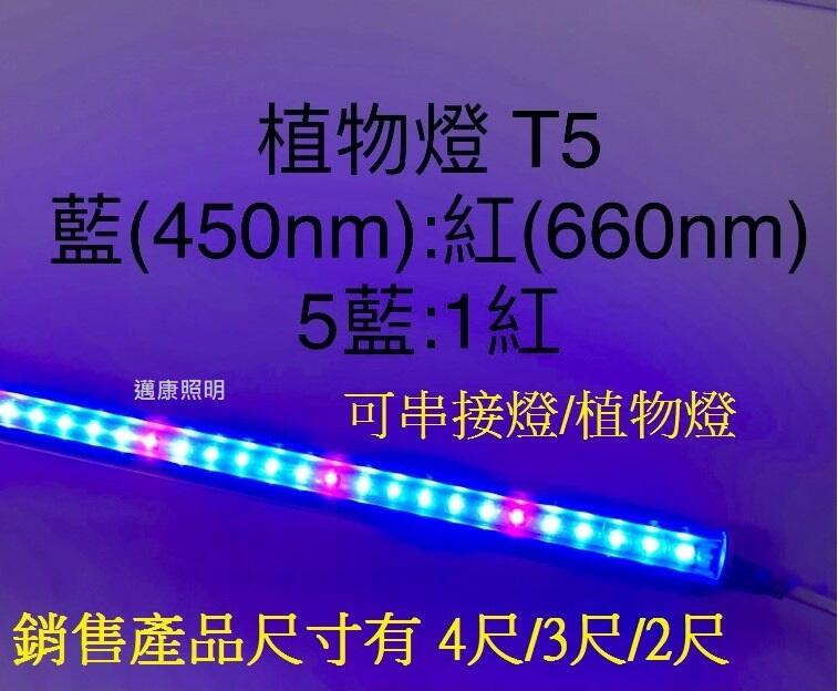 LED T5植物燈 水族燈 植物生長燈 增豔燈 4尺3尺2尺(全光譜-仿太陽光 )5紅1藍-配光/5藍1紅-配光
