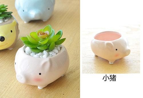 世藏茶酩 創意可愛 桌面 盆栽 小花盆 陶瓷 花器 動物款 小豬
