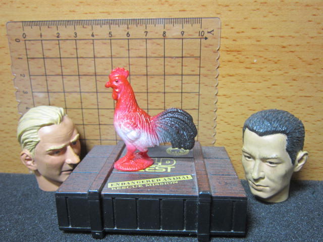 Z2動物部門 1/6紅色黑尾公雞一隻 mini模型