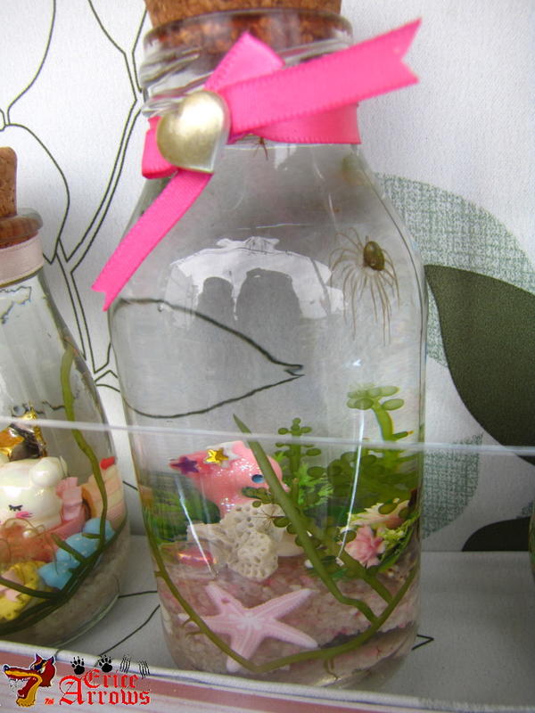 海景瓶----粉紅小海豚+ 海葡萄
