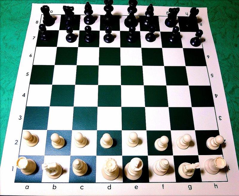 西洋棋(王高64mm)可正規比賽使用