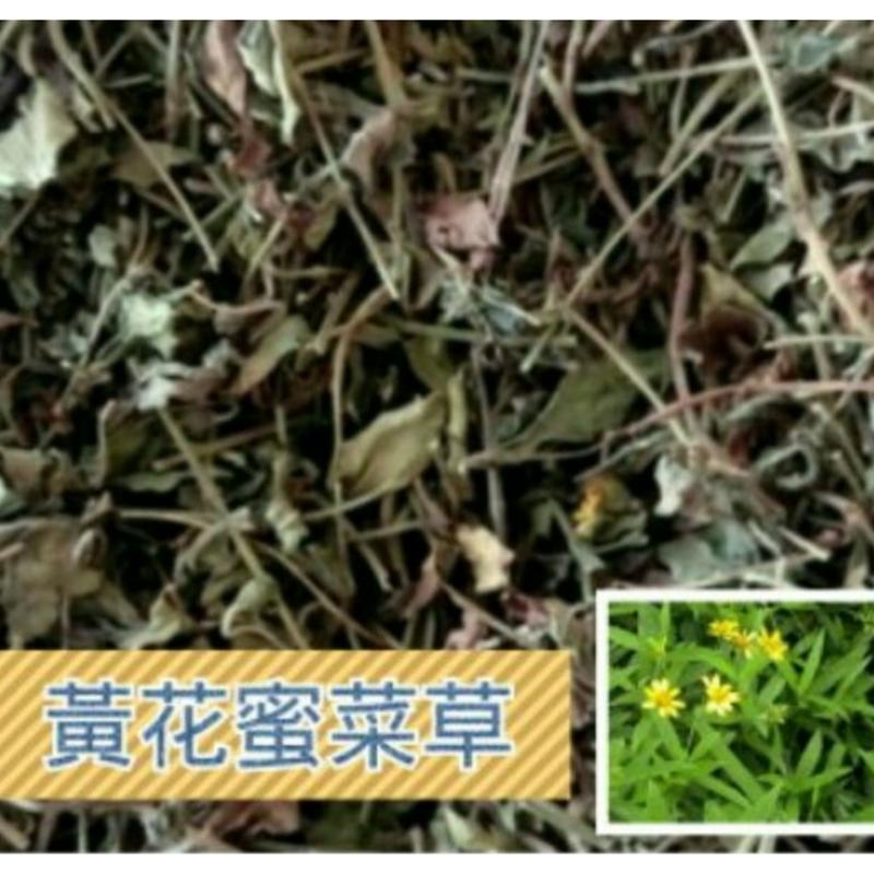 黃花蜜菜草(已裁切約4~8公分)