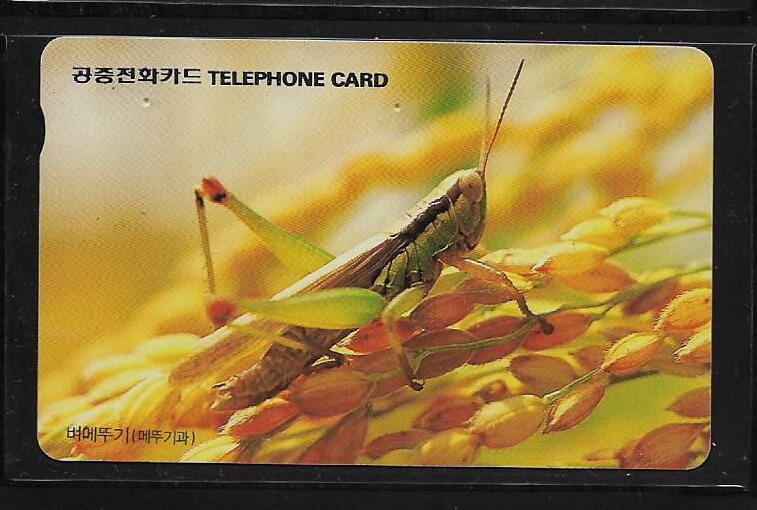 各類型卡 韓國卡片  蚱蜢電話卡  K-004-07 - (昆蟲專題)