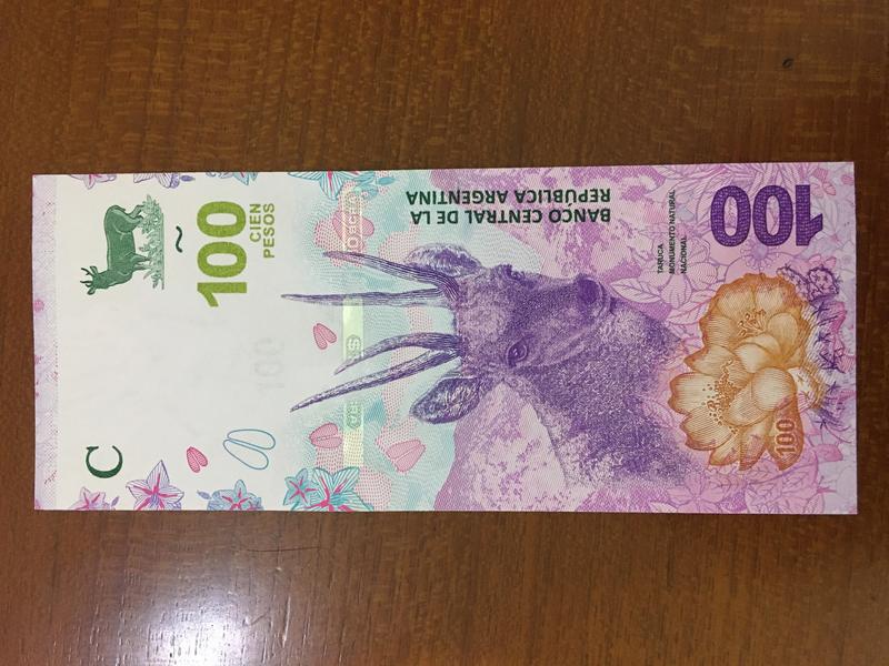 [鈔集趣味] 外鈔 阿根廷 Argentina 2018 100 Pesos 披索