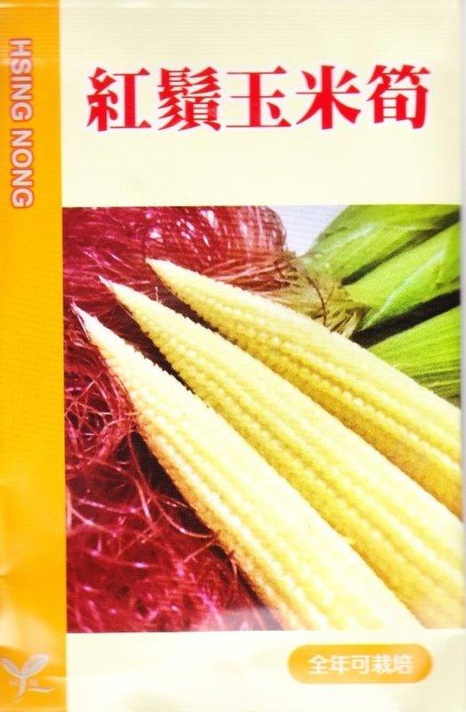 種子王國-紅鬚 玉米筍 興農牌 中包裝種子 每包約8公克 全年可播種