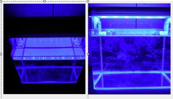 【光力能LED植物燈坊】1尺缸大功率LED泛光型高亮12*2W藍光水族珊瑚長條跨燈