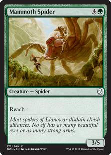 【TK隨意賣】MTG 多明納里亞 DOM 龐巨蜘蛛 Mammoth Spider 閃卡 英文