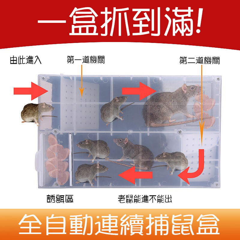 連續捕鼠盒 全自動連續捕鼠器 鼠洞式通道捕鼠籠 獨立誘餌區老鼠籠 滅鼠器【SV9936】BO雜貨