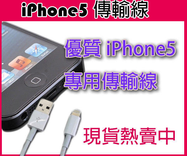 iPhone5 APPLE 專用可充電/傳輸線 品質超優良 ipadmini ipad4 行動電源