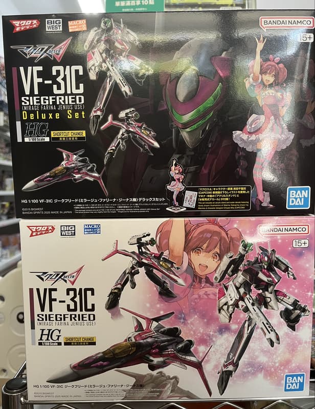 萬代HG 1/100 009 超時空要塞 VF-31C 英雄式 米拉潔・法莉娜・吉納斯座機 一般版 豪華套組