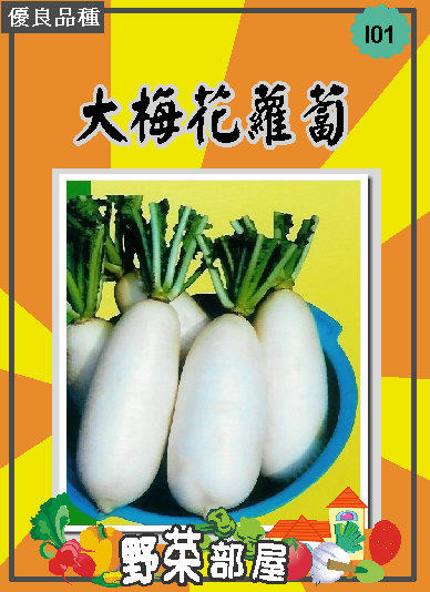 【野菜部屋~中包裝】I01 大梅花蘿蔔種子種子110公克 ,(約9350粒) , 極受好評 , 每包180元~