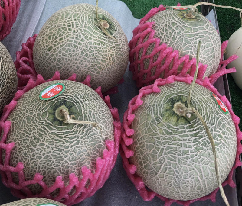 香華洋香瓜種子：家坤種子專賣店