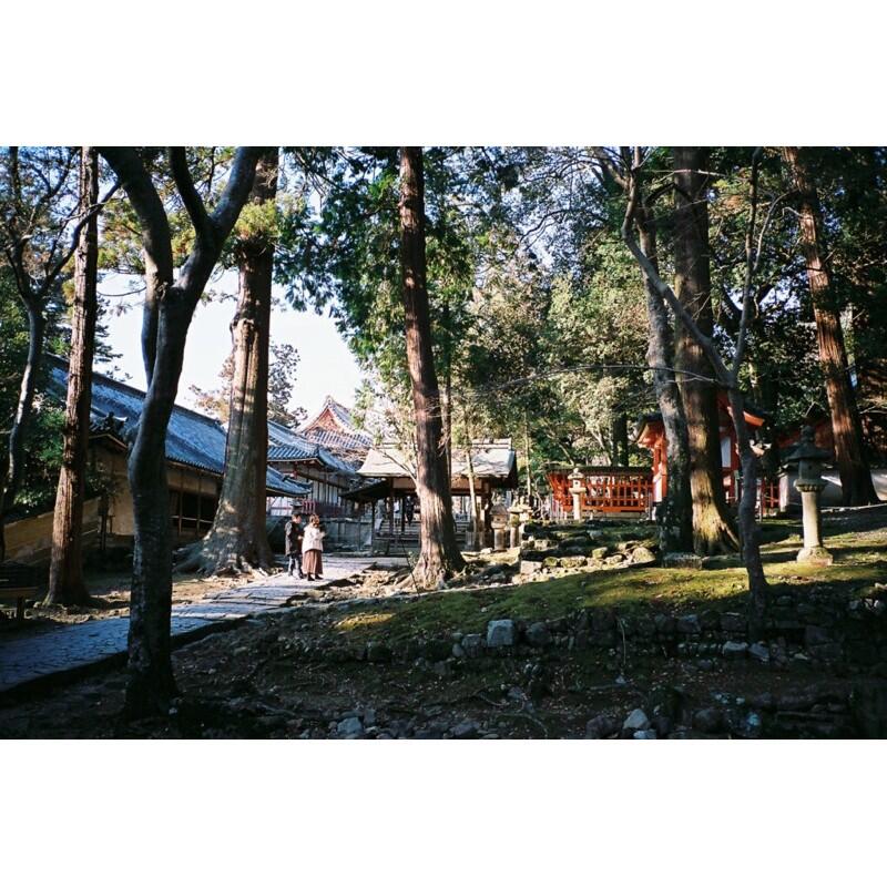 虹華數位 ㊣ 現貨 FUJIFILM 富士 SPEED 400 EC 36EX1 彩色 36張 135 軟片 底片 膠卷