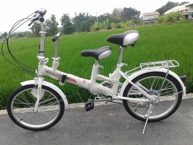 戴英俊-20吋SHIMANO六段速親子互動折疊腳踏車206S親子車白色V夾版
