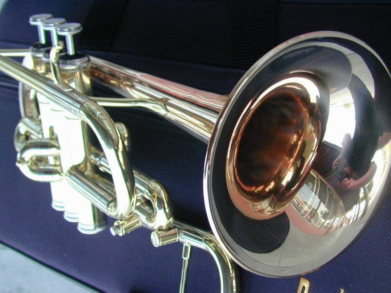 Berkeley Slight Lighter Eb & D Trumpet (Gold Brass)