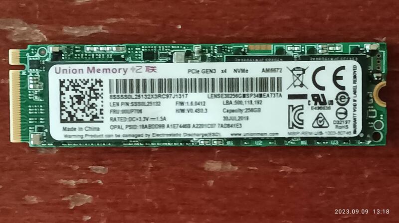拆機良品 Lenovo(億聯) SSS0L25132 256GB M.2 2280 PCIe NVME SSD 固態硬碟