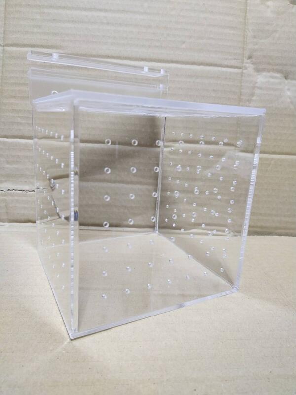 大希水族~台灣Leilih-鐳力 壓克力隔離盒 單格 15X15X15cm 邊條/開放缸適用飼育繁殖盒