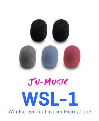 造韻樂器音響- JU-MUSIC - ZOOM - WSL-1 麥克風 海綿罩 減少風噪聲 四色  『公司貨，免運費』