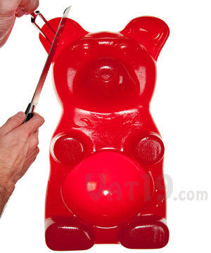 【Sunny Buy】◎預購◎26磅派對大熊軟糖! The 26-Pound Gummy Bear