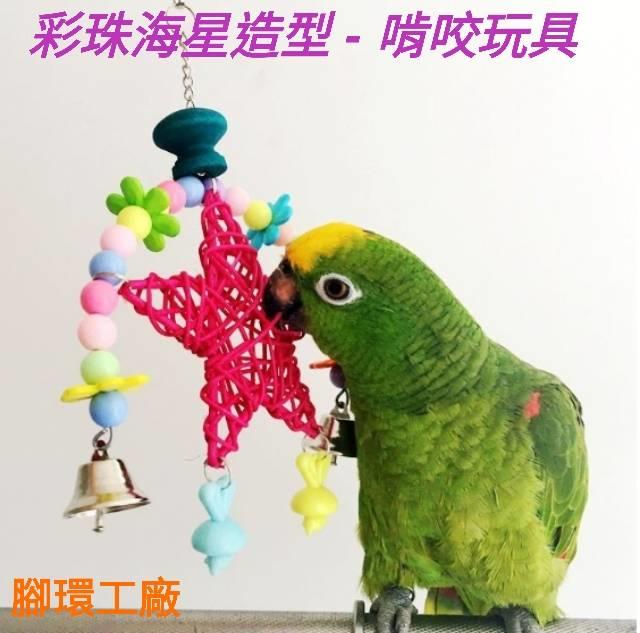 可愛鸚鵡玩具系列~彩珠海星造型-啃咬玩具，鳥寶打發時間，磨嘴好物!