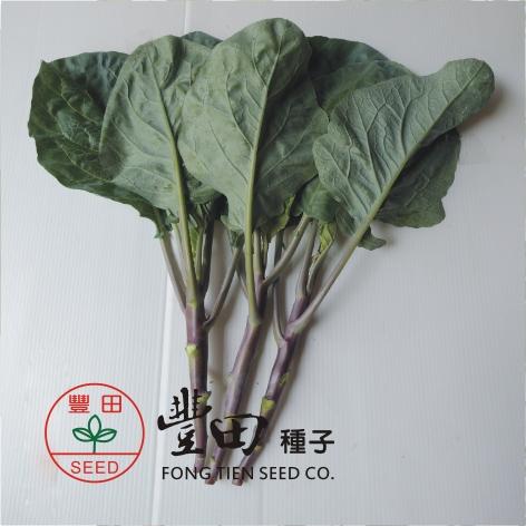【野菜部屋~】H20 紫晶芥藍種子2.8公克 , 生長快速 , 纖維少 , 口感好 , 每包15元~