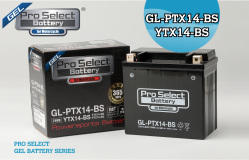 【普洛吉村】 PSB 109 GL-PTX14-BS：Pro Select Battery 膠體機車電瓶