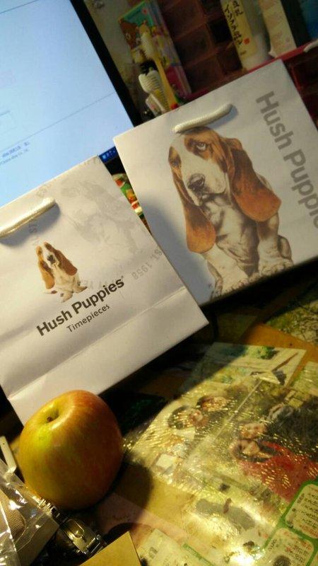 Hush Puppies 錶盒紙袋 巴吉度獵犬 狗狗 白色 $49