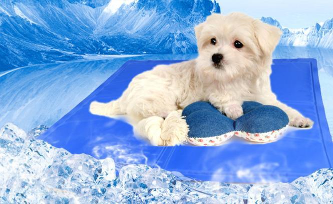 【ABH】日本流行新款 冰涼墊 寵物冰墊 冰涼墊 降溫 散熱 小款 狗窩 貓床 風扇 冷氣 竹蓆 涼被 臘腸 柴犬 柯基