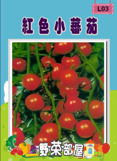 【野菜部屋~】L03 日本甜心小蕃茄種子0.07公克 , 屬小型果 , 每包15元~