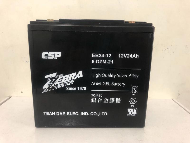 電動車電池 CSP 銀合金膠體電池 6-DZM-21 充電快速 12V 24AH 電動車 同Rec22-12  現貨供應