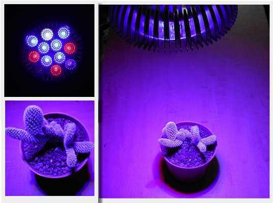 【光力能LED植物燈坊】新型二代鑽石款24W聚光型PAR燈3紅6藍全光譜多肉植物大功率LED生長補光燈