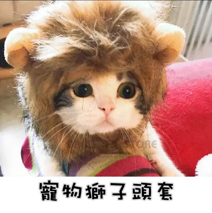 BANG◎貓咪變獅子 頭套 寵物頭套 貓咪頭套 貓咪獅子頭套 狗頭套 貓衣服【HP02】