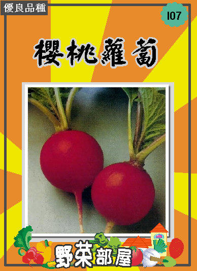 【野菜部屋~原包裝】I07 日本櫻桃蘿蔔種子1磅原罐裝 , 品質細嫩 , 收成快 ,每罐830元~