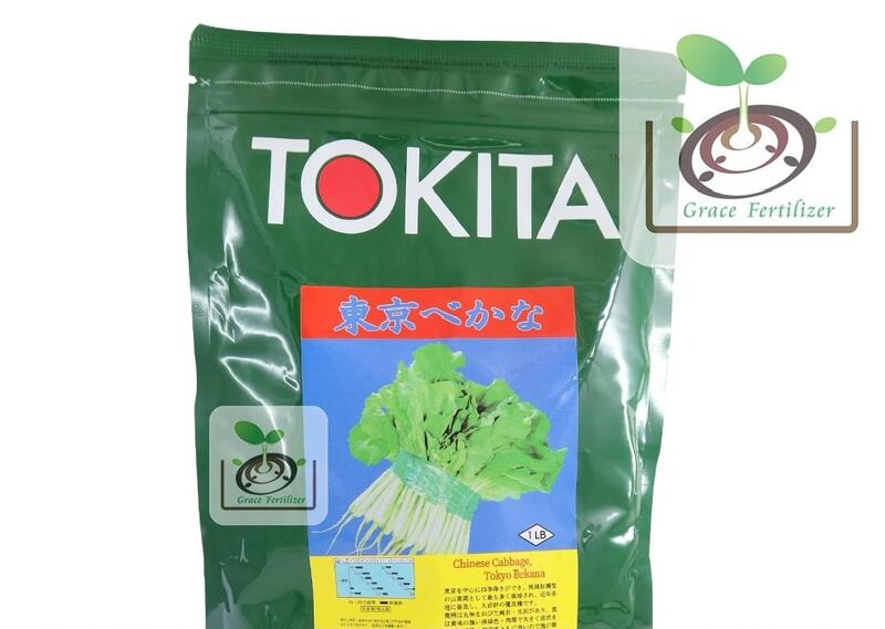 [禾康肥料] 日本切葉白菜種子 / 453g(磅) 日本原裝