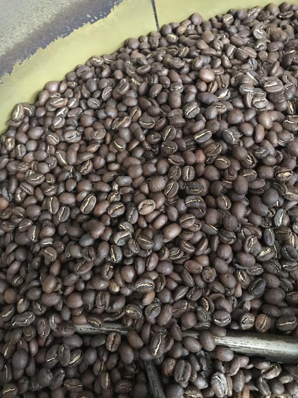 奇波咖啡 莊園單品 哈圖莓村  衣索比亞 水洗 耶加雪菲 潔蒂普鎮 哈圖莓村 G1