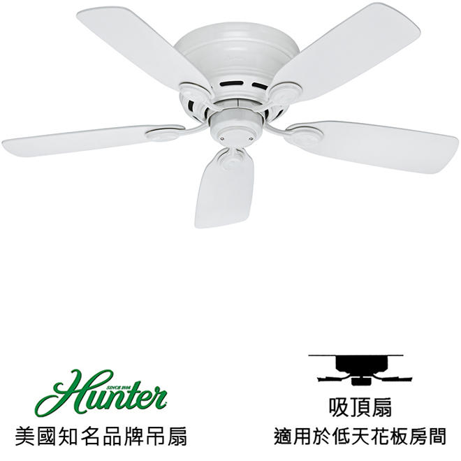 [Top Fan] Hunter Low Profile IV 42英吋吸頂扇(51059)白色 適用於110V電壓