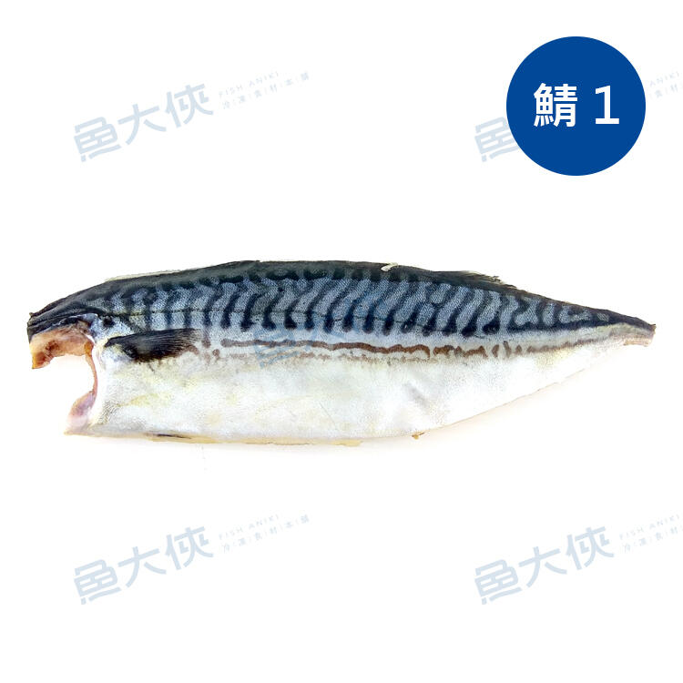 1D1B【魚大俠】FH157信揚-薄鹽挪威鯖魚片-鯖1 (210~240g/片)
