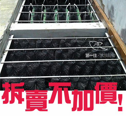 [第一佳水族寵物]批發過濾毛刷 [1尺] 工廠直營、台灣製、正白鐵(過濾刷 錦鯉過濾刷 魚池過濾刷）