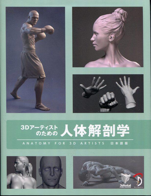3D藝術家的人體解剖學