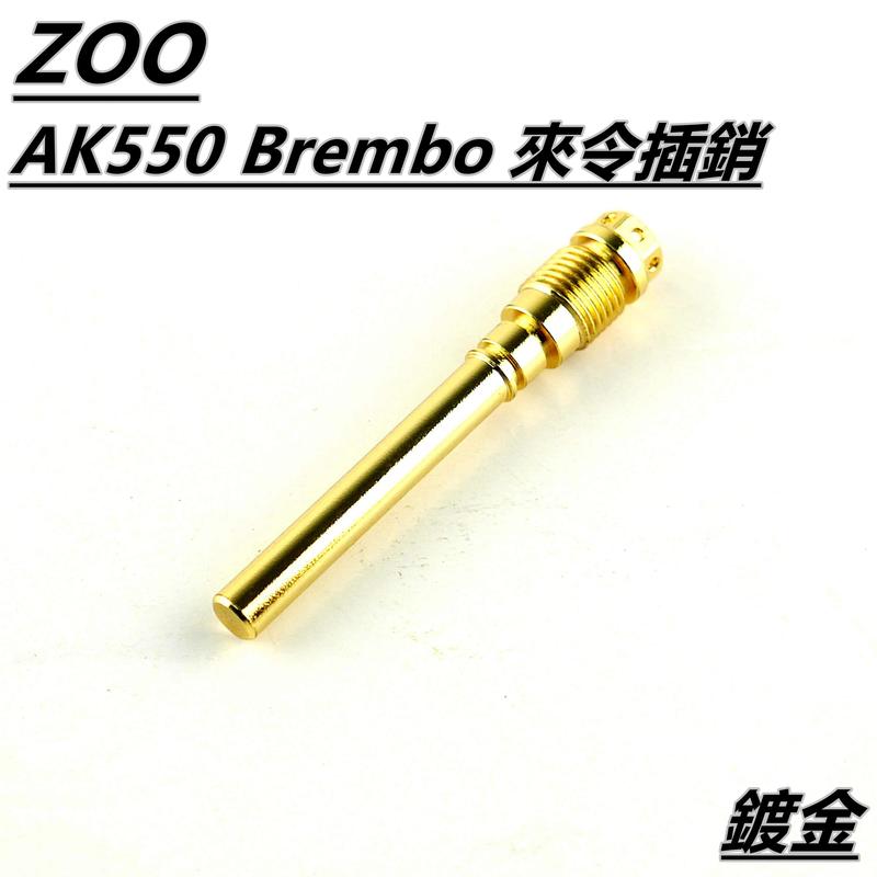 ZOO AK550 B牌卡鉗 來令插銷 插銷 卡鉗插銷 白鐵插銷 鍍金插銷 B卡插銷