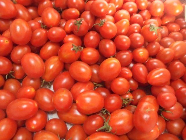 小番茄--種子1份50粒30元..買5送1