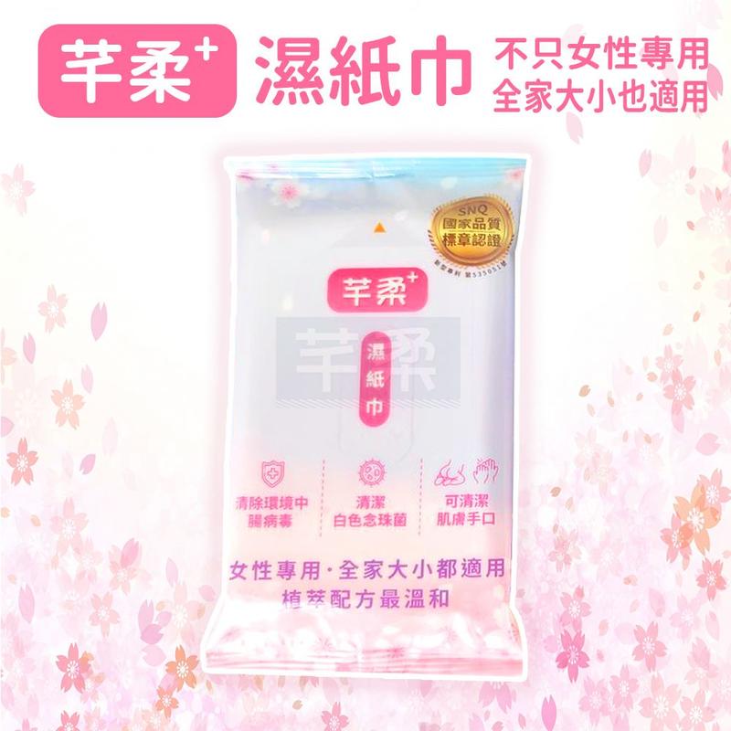 女人必備防護品 芊柔PLUS版濕紙巾10抽【C0009】