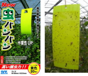 日本製 每包20片黏薊馬超有效 特殊波長補蟲黏紙 專利黏膠 不怕日曬雨淋 有機 適用