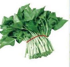 菜根園-白骨空心菜種子40克30元
