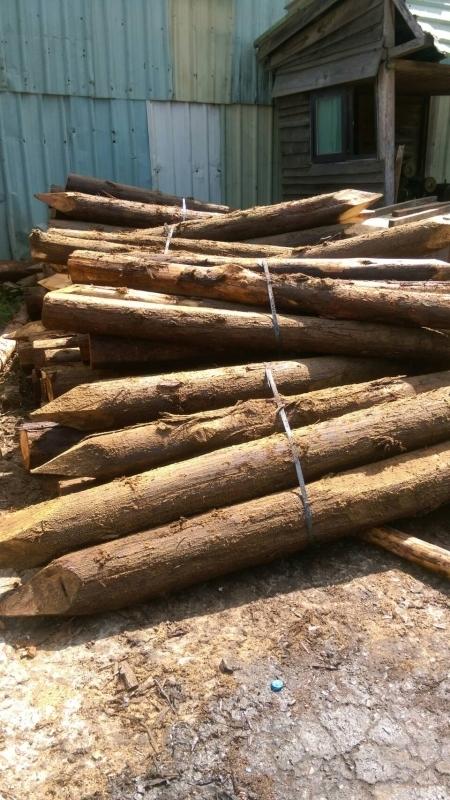 【山水印木業】 杉木樁 生態工法 休閒造園、圍牆、柵欄、造景用杉木材料