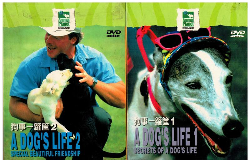 狗事一籮筐 1 A Dog's Life 1:secrets of a dog's life(九成新)DVD