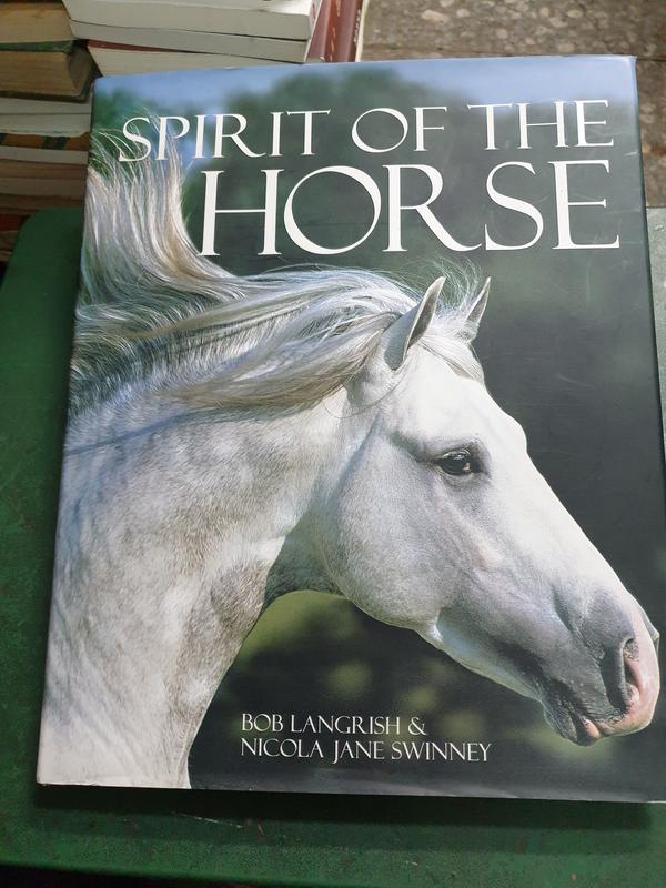 V1330 SPlRIT OF THE HORSE 2OO5年