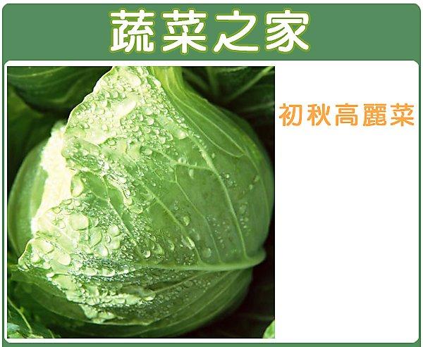 【蔬菜之家滿額免運00B01】大包裝.初秋高麗菜種子7克(約1100顆)(梨山品種)
